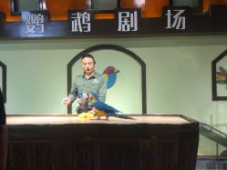 -未来动物城动物主题公园(大悦城店)