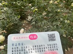 -仁和公园(顺义区)
