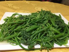 -粤北餐馆