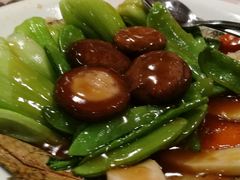 -八樂居