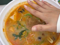 -张川人•甘肃天水麻辣烫(北医三院店)