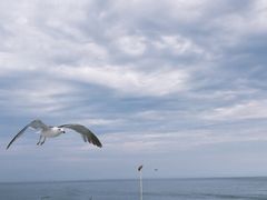 -海驴岛(荣成市)
