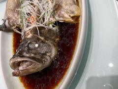 清蒸石斑鱼-新海渔港·胶东海鲜家常菜·家宴(奥体中心店)