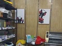 -瑞派名望志远动物医院·猫科·內科·异宠专科(直港大道店)