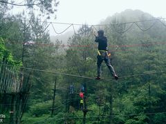 -梦幻奥陶纪景区