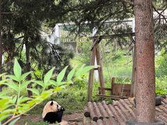 -西安秦岭野生动物园