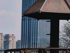 -昆明动物园