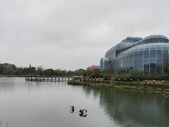 -大塘金香草谷