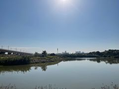 -光明小镇欢乐田园