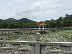 -红山村