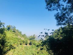 -海口火山口国家地质公园