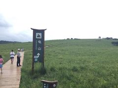 -御道口草原森林风景区