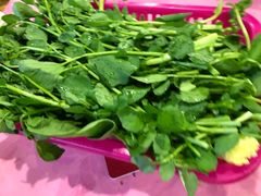 西洋菜-侠成水上农庄(工业大道店)