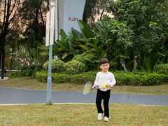 -宝安西湾红树林湿地公园