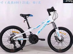 -道路口单车爱瓦士dahon大行