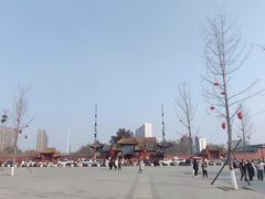 -药王庙(安国市)