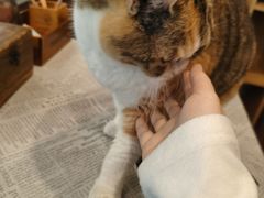 -隅cafe(傅厚岗店)