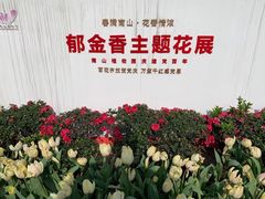 -南山植物园