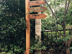 -上海崇明金茂凯悦酒店