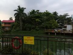 -锡才大羽羽毛球馆(深港花卉店)