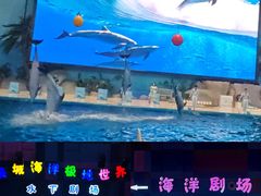-泉城欧乐堡海洋极地世界