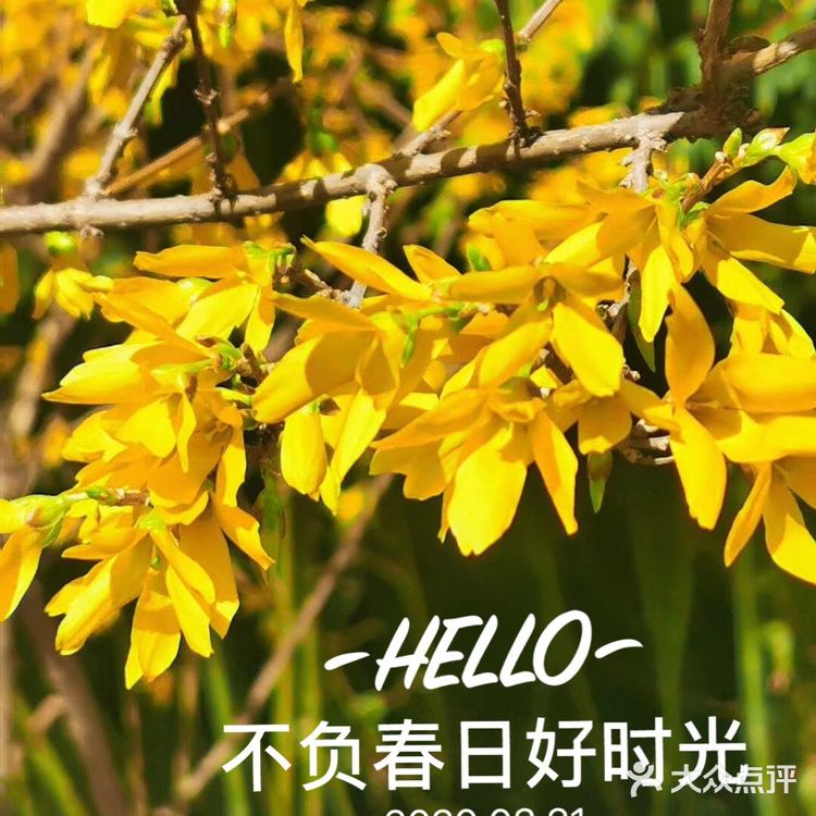 回家路上美景连连[加油]