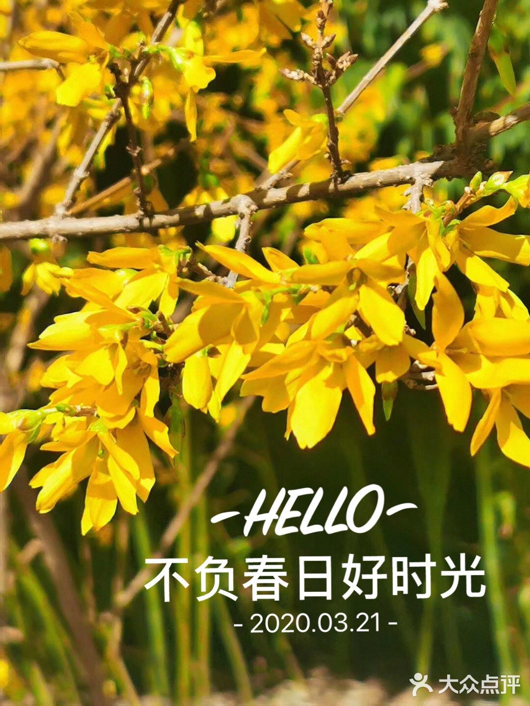 回家路上美景连连[加油]