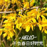回家路上美景连连[加油]