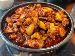 -志晖园圆子鸡·辣子鸡(阳光店)