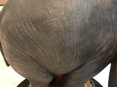 -SFC上影影城(港汇永华IMAX激光店)