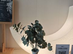 -鲸落SPA(番禺长隆店)