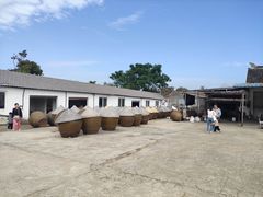 -苏州市吴中区光福窑上花果蜜饯厂