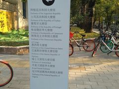 -三里屯东五街银杏大道