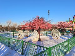 -绿野森林乐园冰雪季