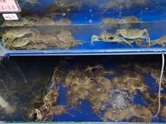 -阳澄湖大闸蟹·琼灵阁牌品牌连锁(吴中总店)