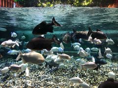 -成都浩海立方海洋公园