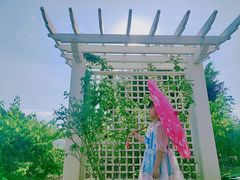 -亚龙湾国际玫瑰谷