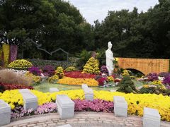 -共青国家森林公园-售票处