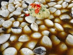 -顺德哥卜卜贝(旗舰店)