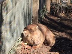 -费瑟代尔野生动物园