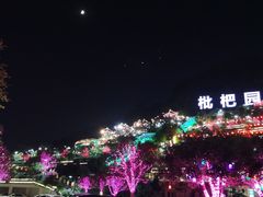 -枇杷园食为鲜火锅(南山店)