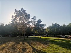 -长春公园(普阳街道)