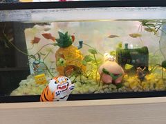 -艺塔木美学教育(和达校区)