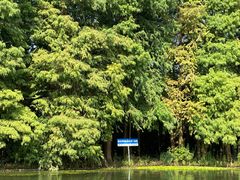 -上海海湾国家森林公园