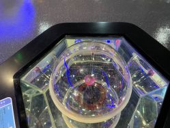 -北京科学中心儿童乐园