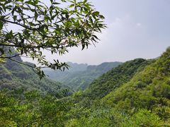 -老象峰