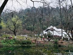 -岳麓山风景名胜区