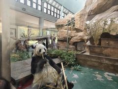 -成都动物园