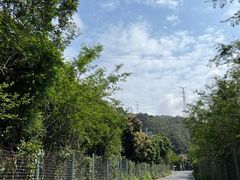 -马峦山郊野公园