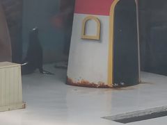 -锦艺城海洋馆